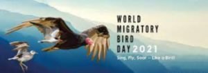 World Migratory Bird Day 2021: May 08