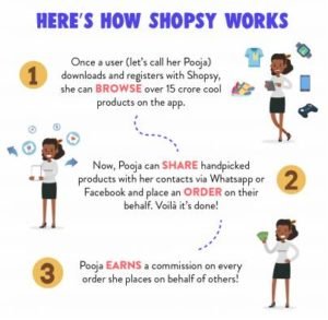 how shopsy app works