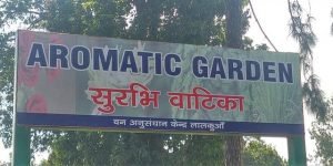 biggest aromatic garden