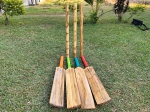 Tripura launches India's first cricket bats and stumps made of Bamboo