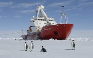 India launches 41st Scientific Expedition to Antarctica